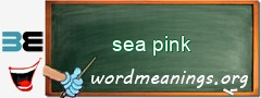 WordMeaning blackboard for sea pink
